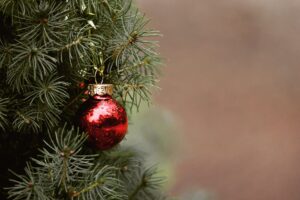 Mehr über den Artikel erfahren Weihnachtsbaumverkauf