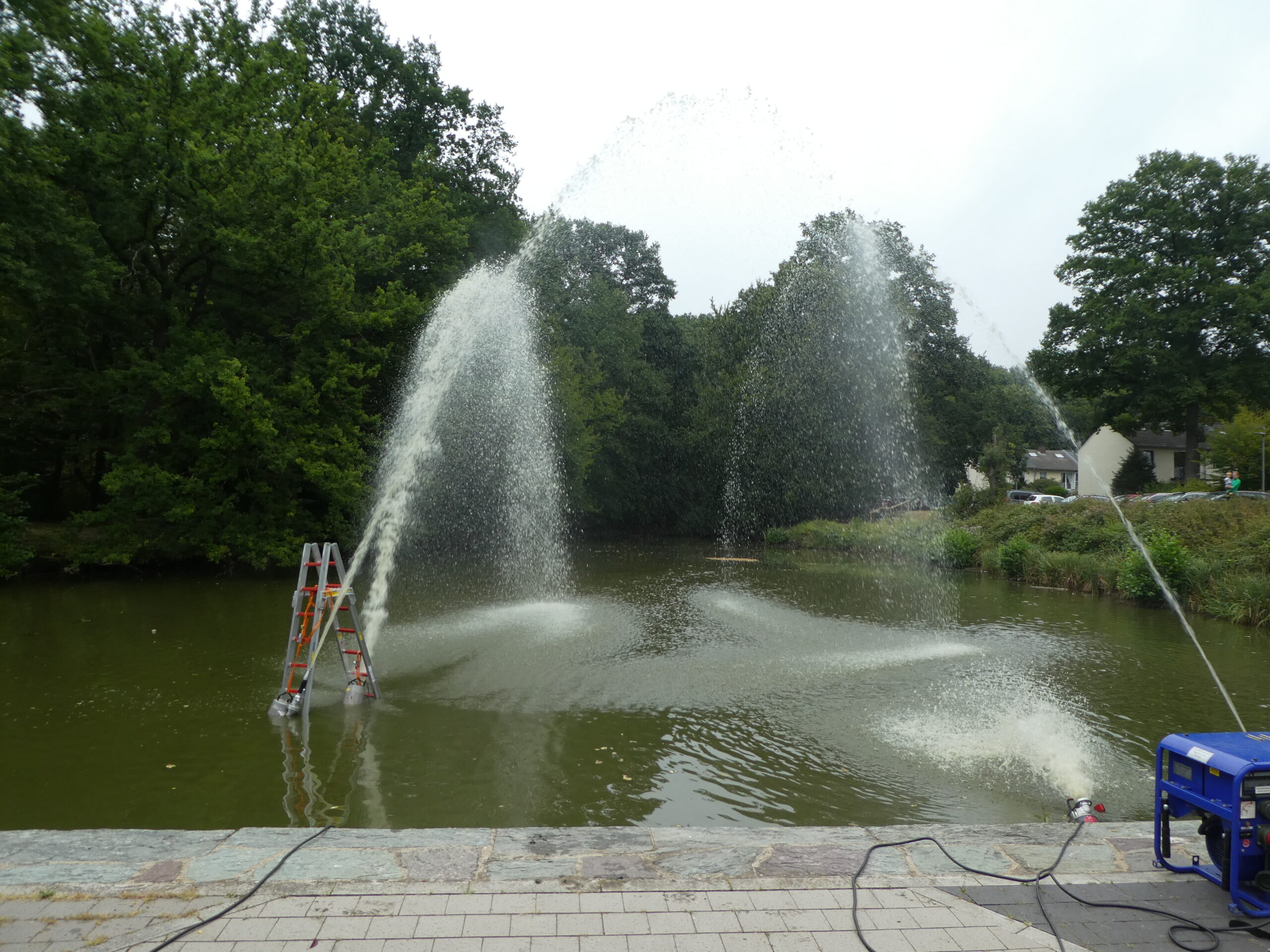 Mehr über den Artikel erfahren Frische Luft für die Fische