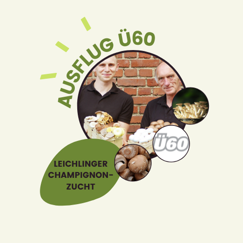 Read more about the article Ü60 Ausflug zur Leichlinger Champignonzucht