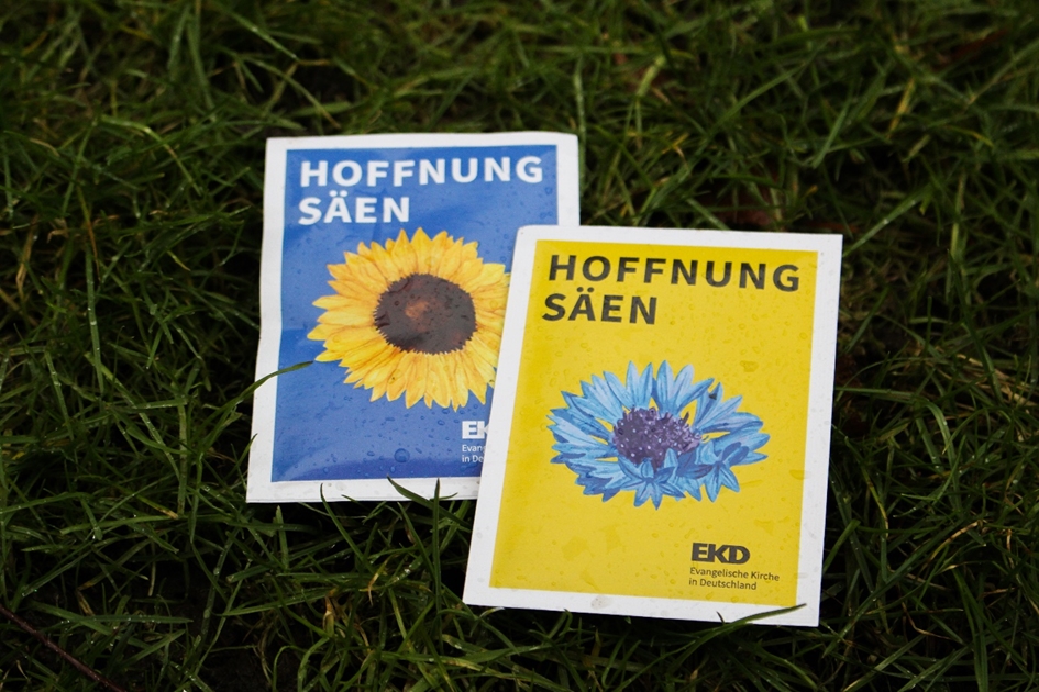 Mehr über den Artikel erfahren #hoffnungsäen