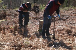 230227 Pflanzaktion Ökumenewald Pflanztrupp nah