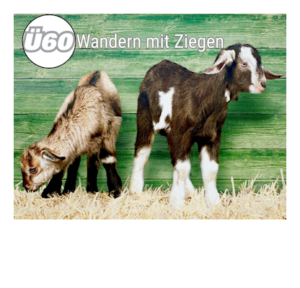 Mehr über den Artikel erfahren Wandern mit Ziegen – Ü60 Programm im März