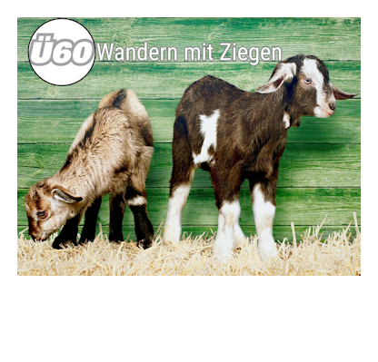 Mehr über den Artikel erfahren Wandern mit Ziegen – Ü60 Programm im März
