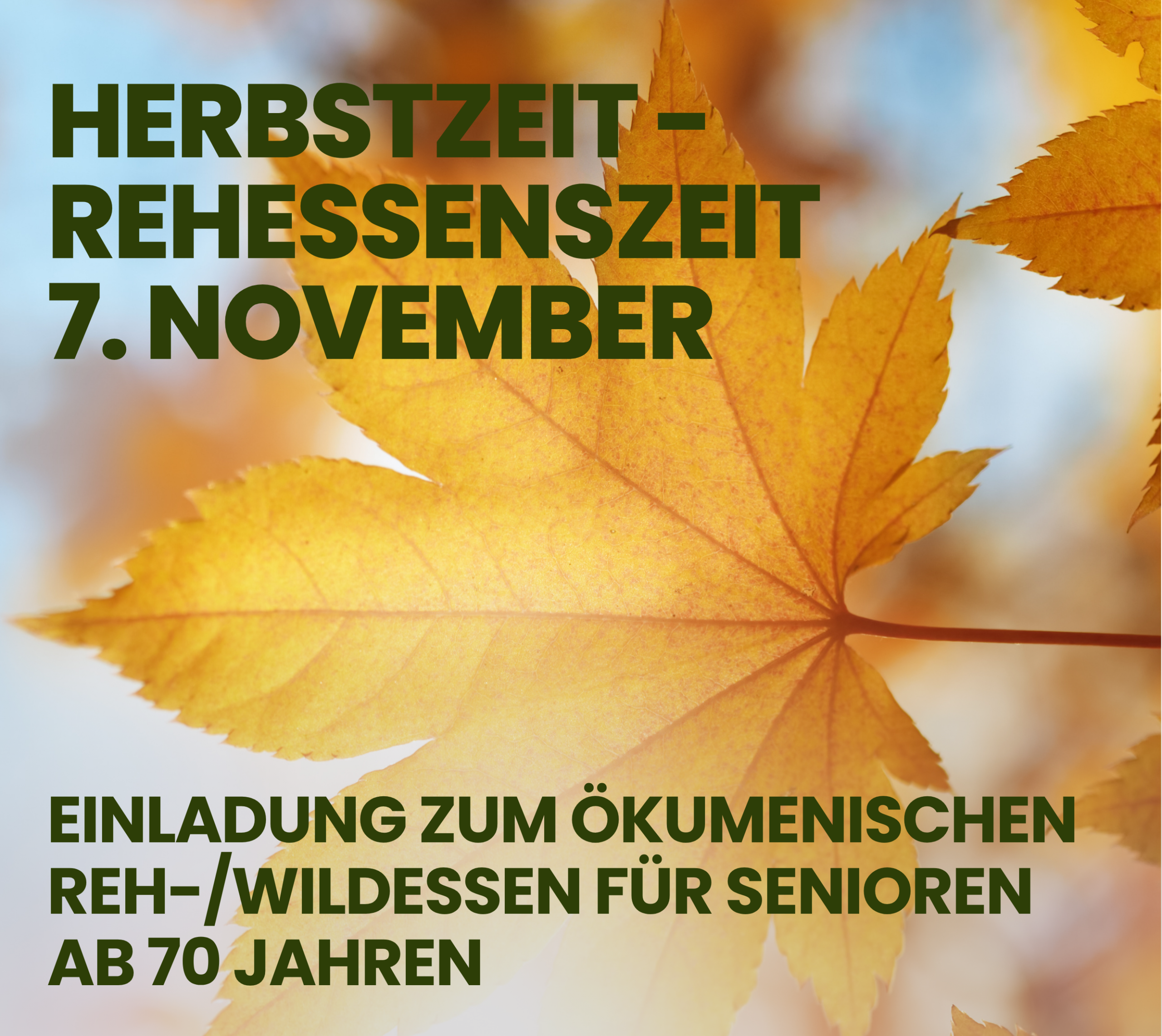 Du betrachtest gerade Herbstzeit – Rehessenzeit
